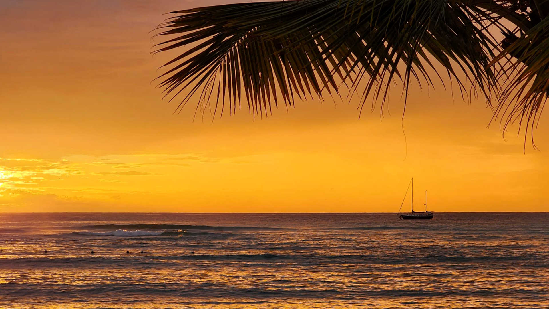 impressum Schau Ma Mal - Ausflüge Punta Cana Bavaro