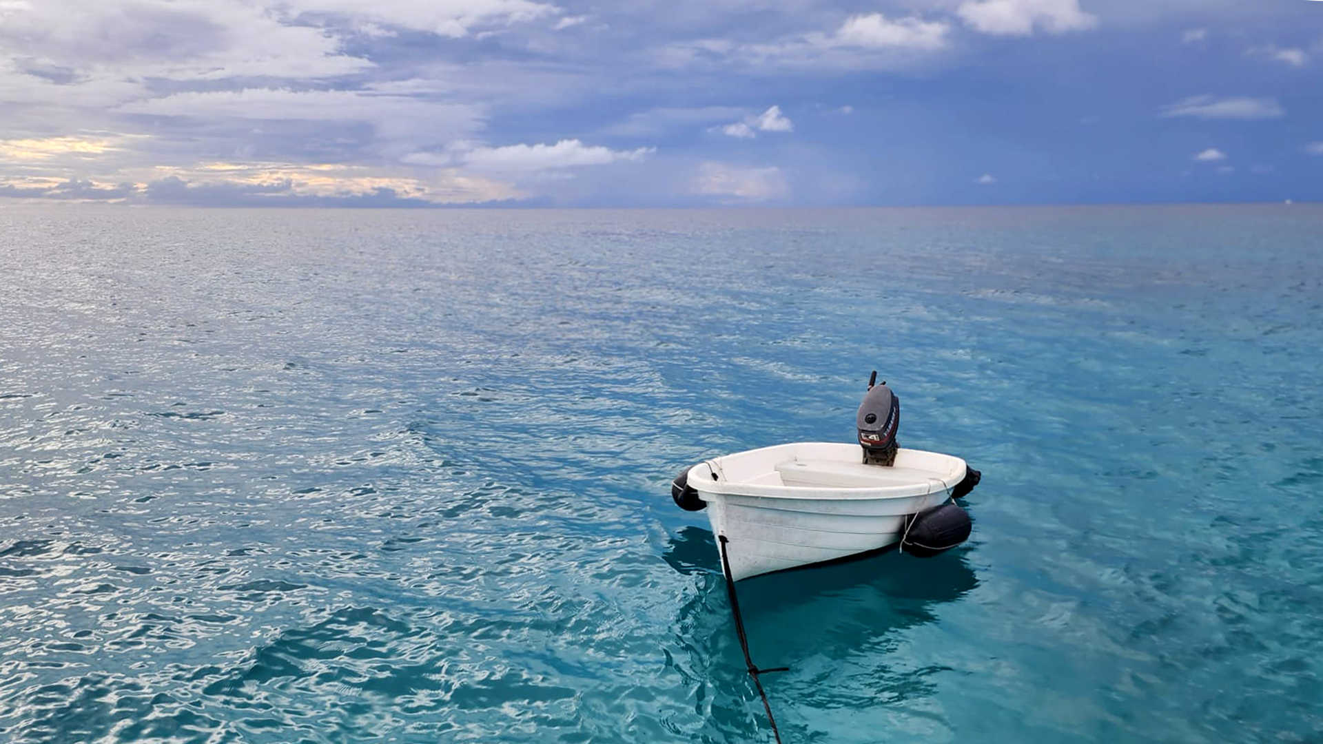Kontakt Schau Ma Mal - Ausflüge Punta Cana Bavaro Bayahibe