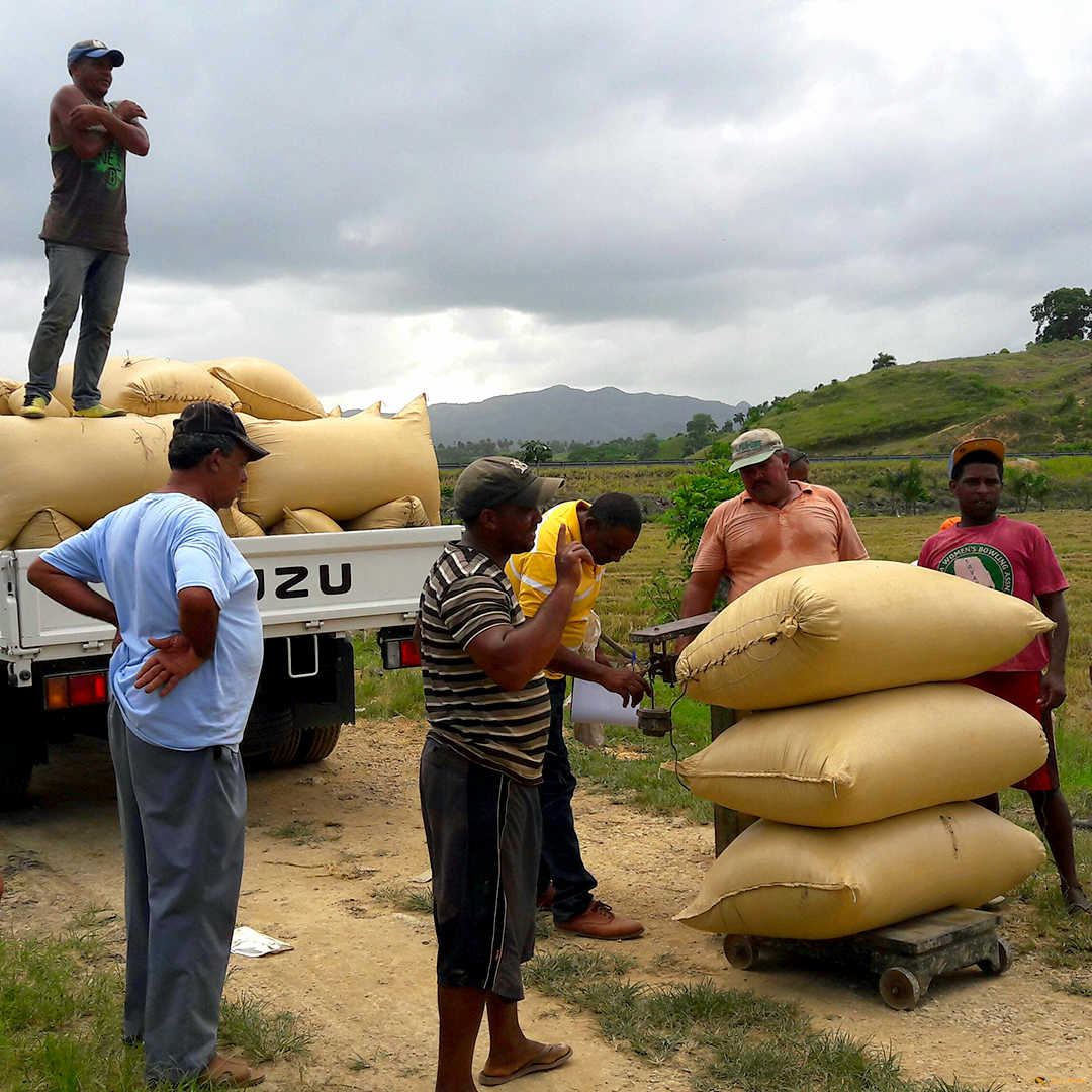 Schau Ma Mal - Ausflüge Punta Cana Bavaro Bayahibe