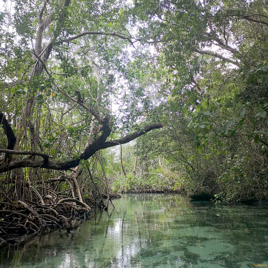 Santo Domingo – Wasserfälle – Samana
