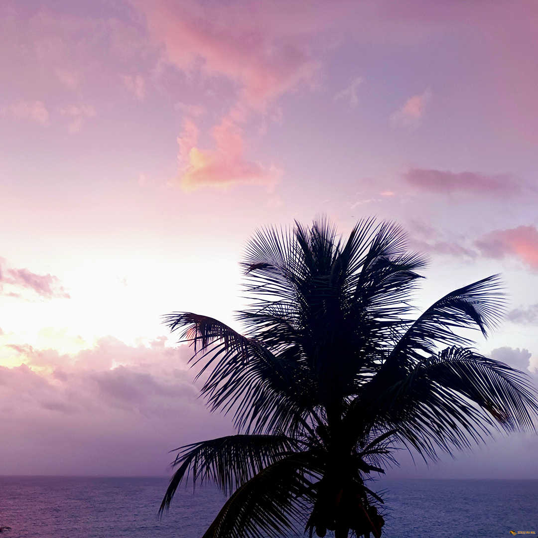 Santo Domingo – Wasserfälle – Samana