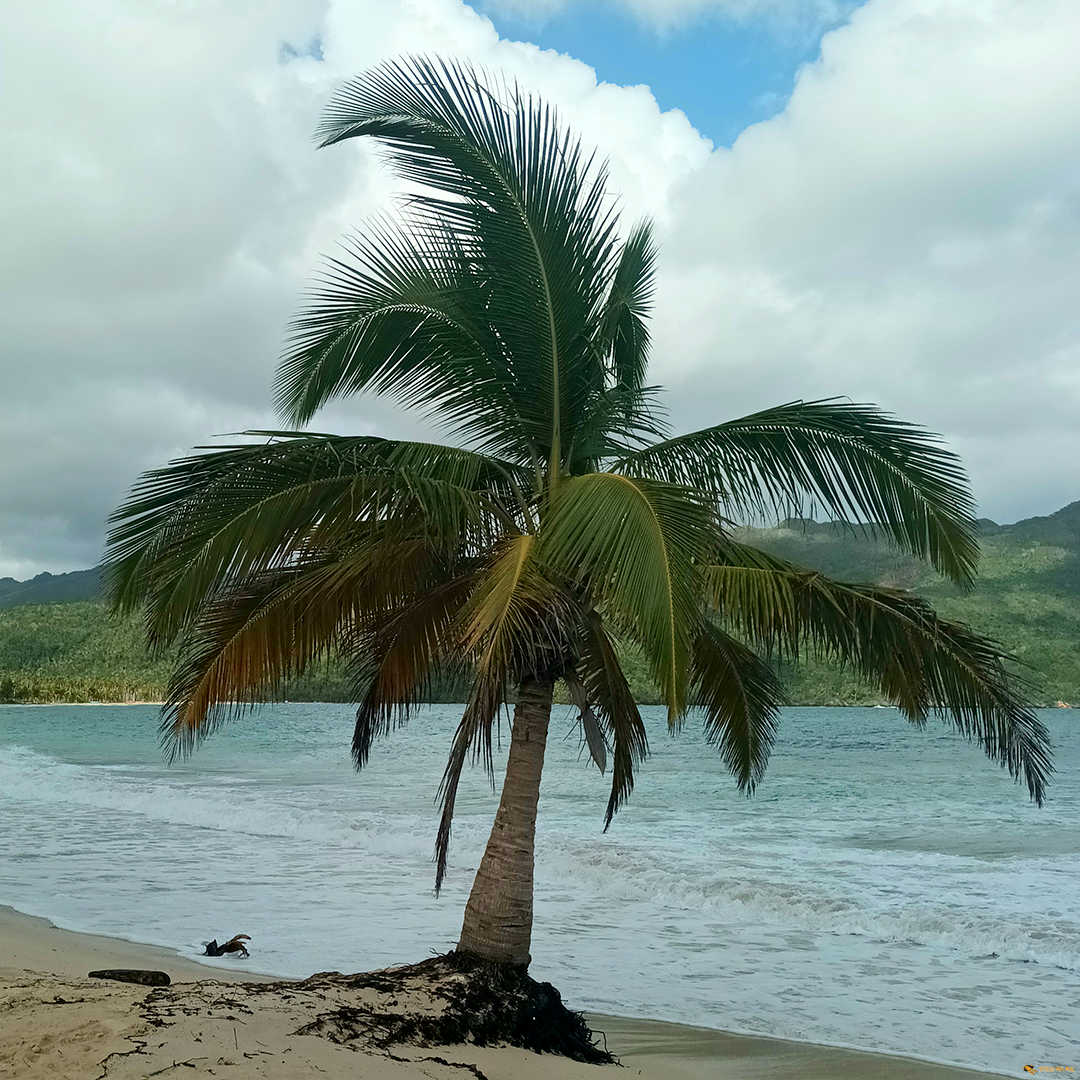 Santo Domingo – Wasserfälle – Samana