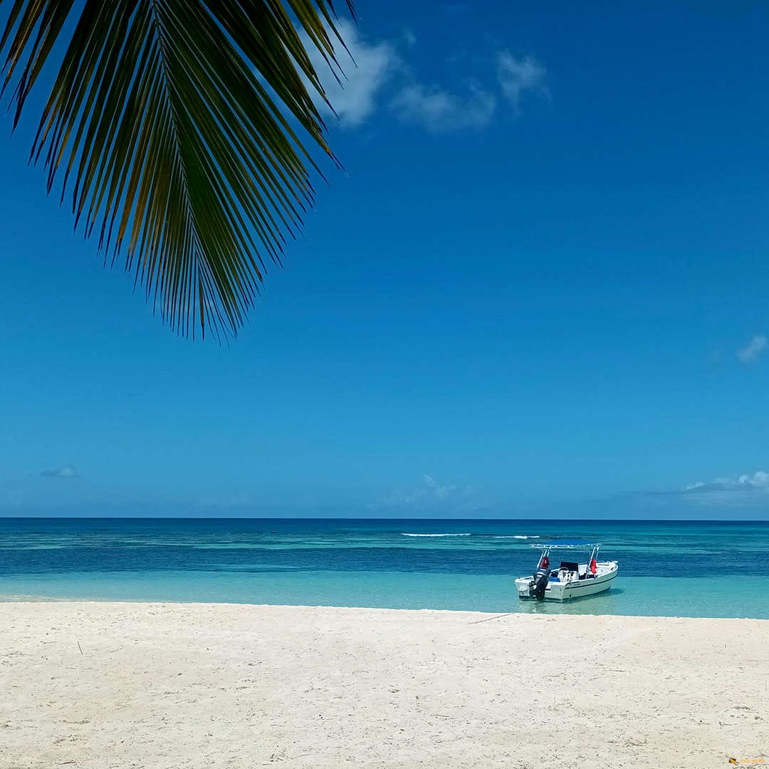 saona Schau Ma Mal - Ausflüge Punta Cana Bavaro Bayahibe VIP