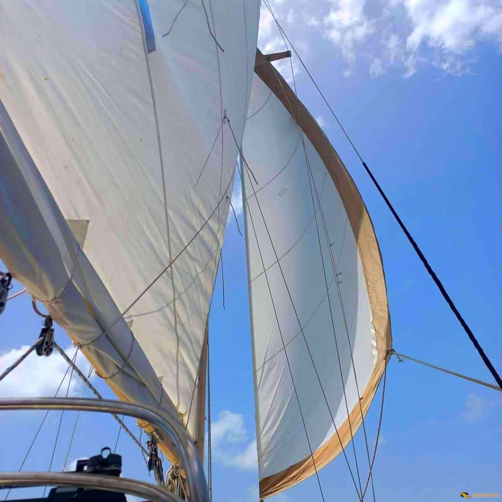 Saona Segelboot - Schau Ma Mal - Ausflüge Punta Cana Bavaro Bayahibe