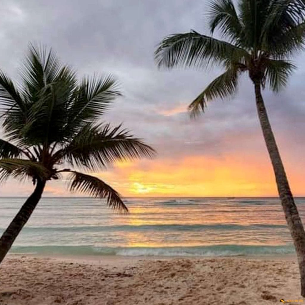 Saona Segelboot - Schau Ma Mal - Ausflüge Punta Cana Bavaro Bayahibe